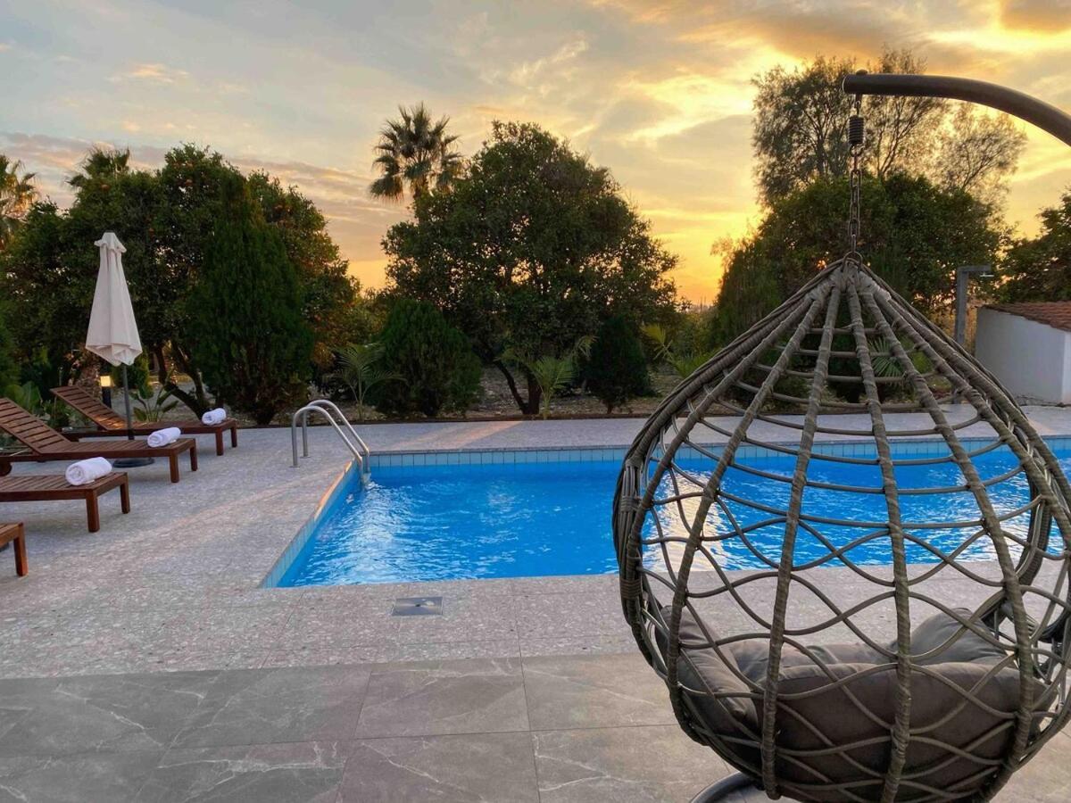 Cocoon Luxury Villa In Coral Bay-3 Min To Beach Pegeia Eksteriør billede