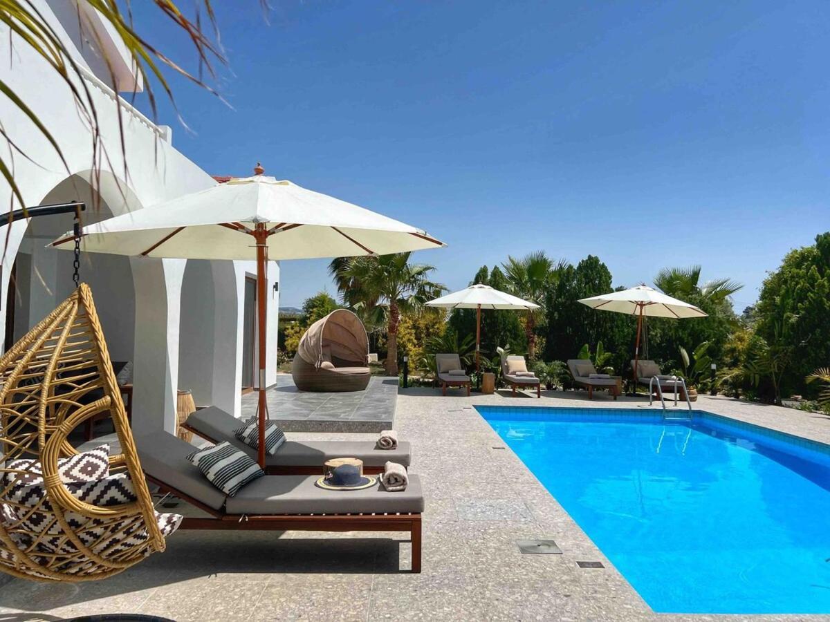 Cocoon Luxury Villa In Coral Bay-3 Min To Beach Pegeia Eksteriør billede