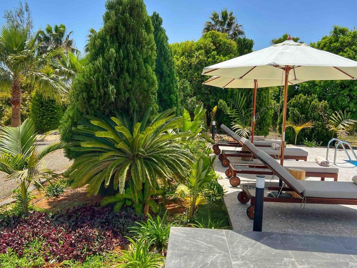 Cocoon Luxury Villa In Coral Bay-3 Min To Beach Pegeia Eksteriør billede