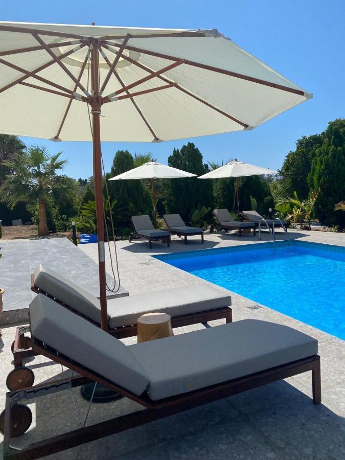 Cocoon Luxury Villa In Coral Bay-3 Min To Beach Pegeia Eksteriør billede